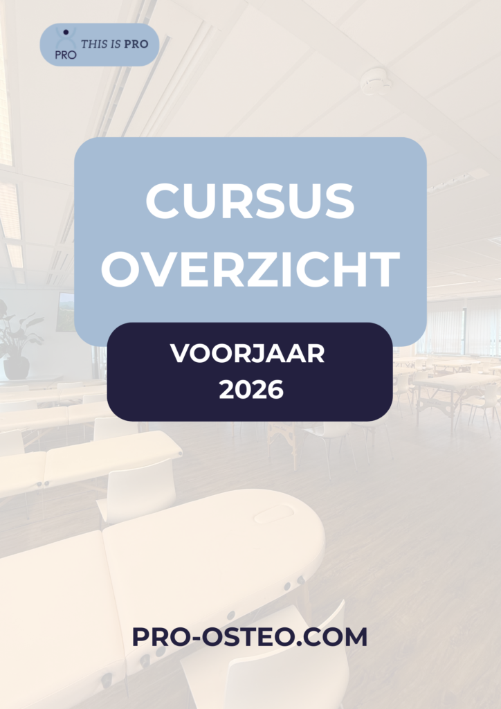 Overzicht cursussen voorjaar 2026